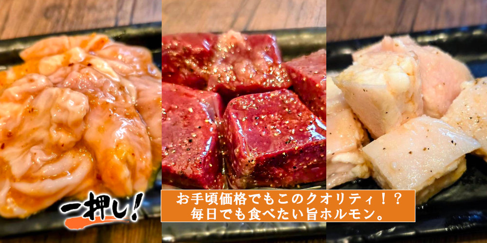 ぷりぷりな旨ホルモン