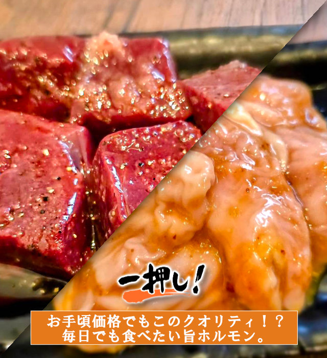ぷりっぷりなホルモン
